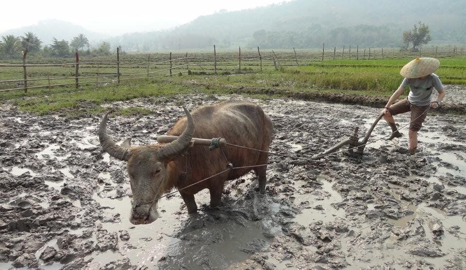 Caption---- Life is Hard in Laos