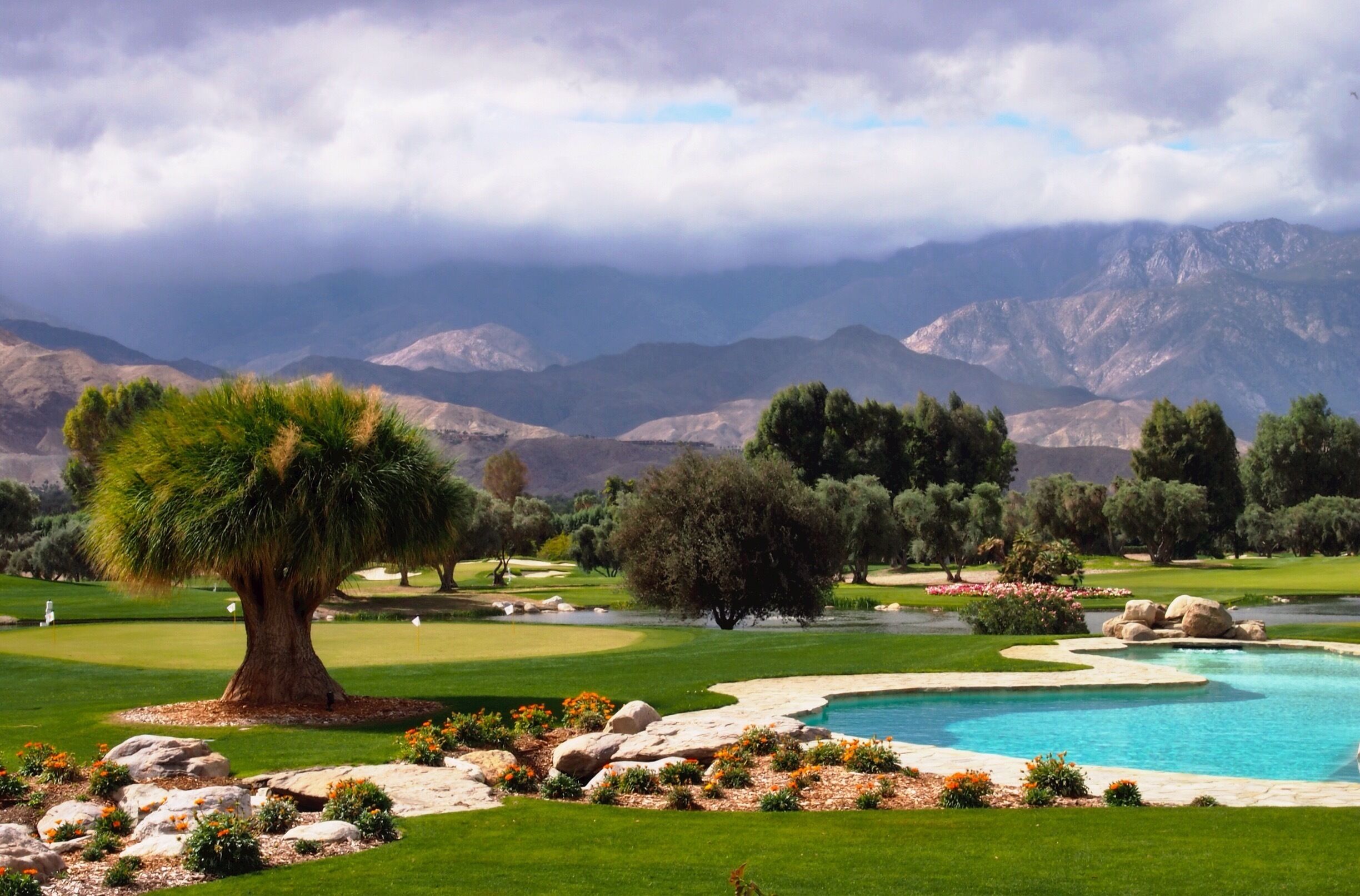 A golf course with a large tree, a pond, and mountains in the background.