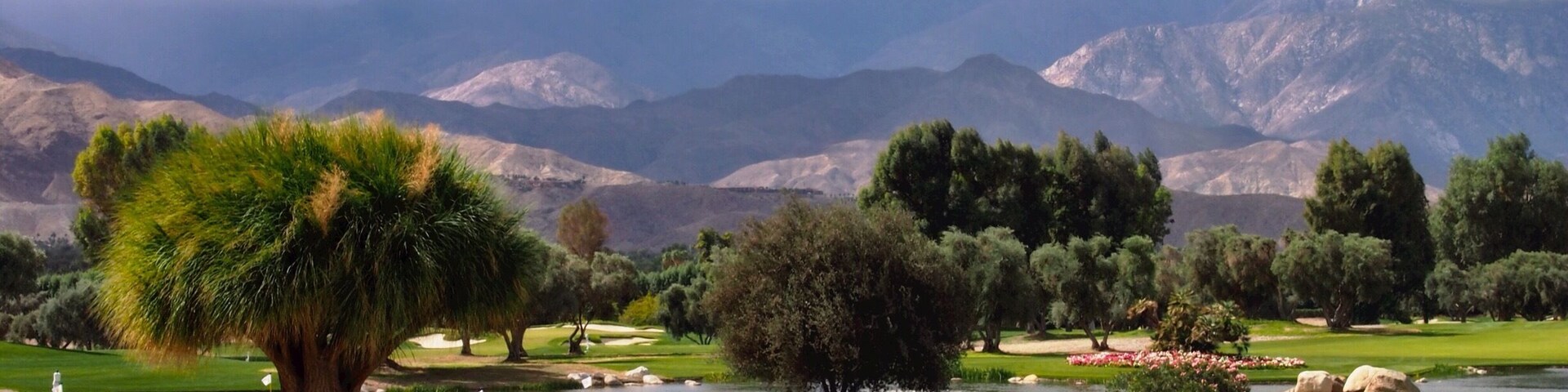 A golf course with a large tree, a pond, and mountains in the background.
