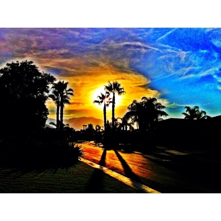 Desert sunset on my street.