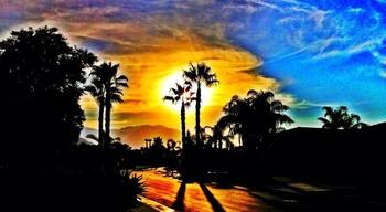 Desert sunset on my street.