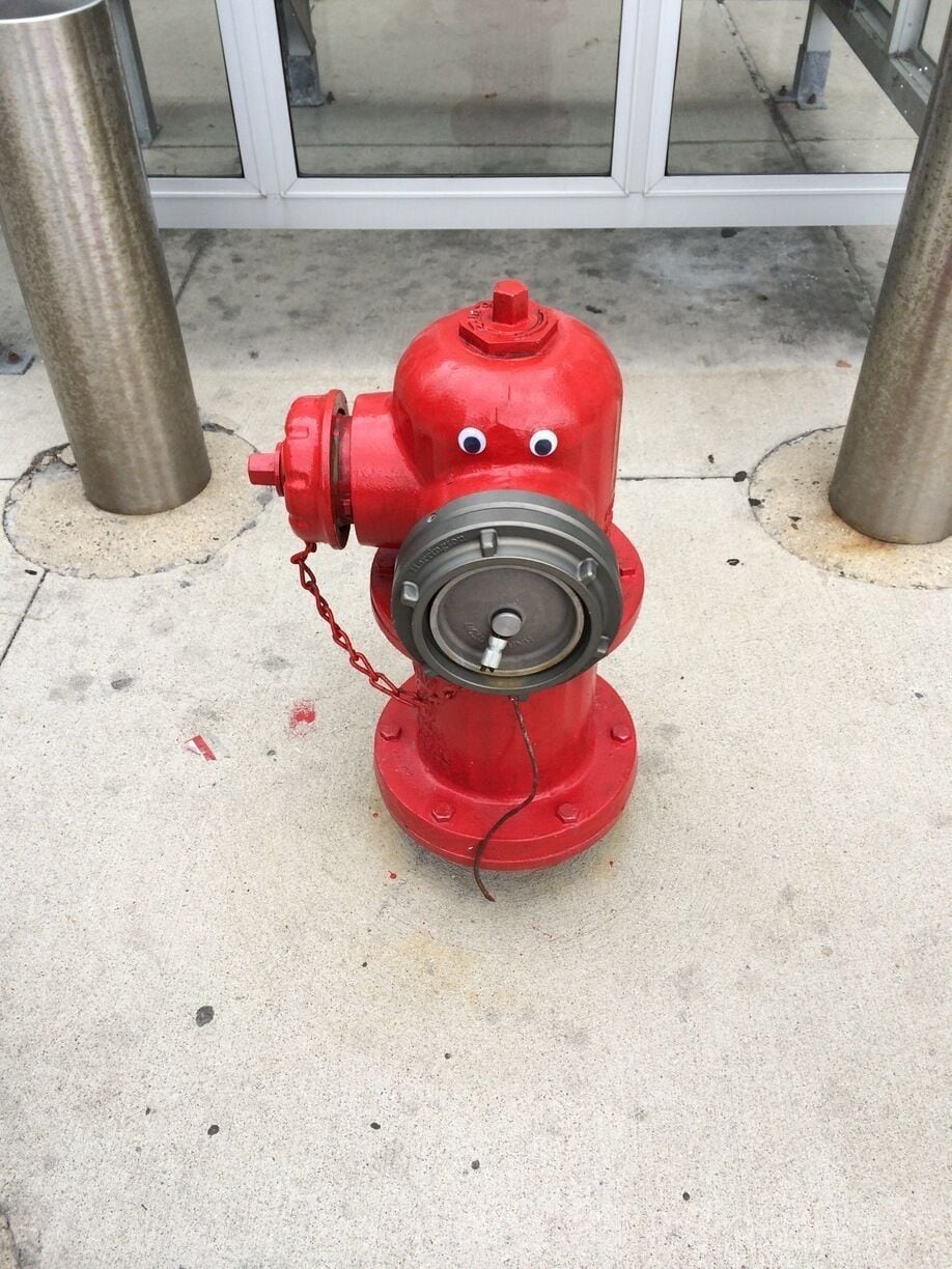 Cute fire hydrant 