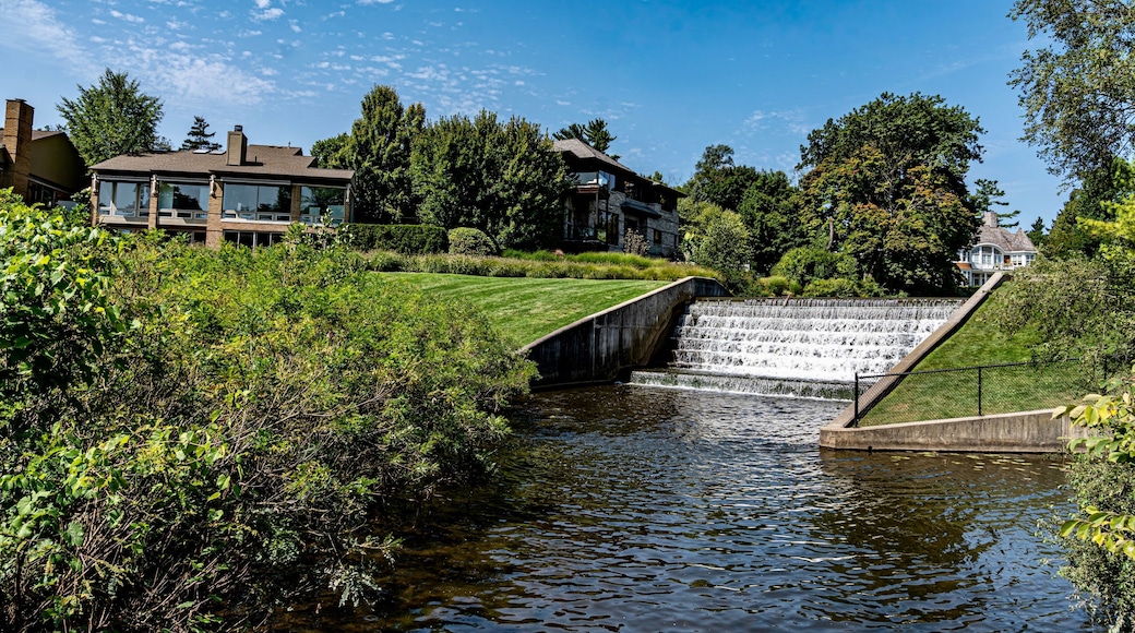 Quarton Lake Park and the Rouge River on a Summer day