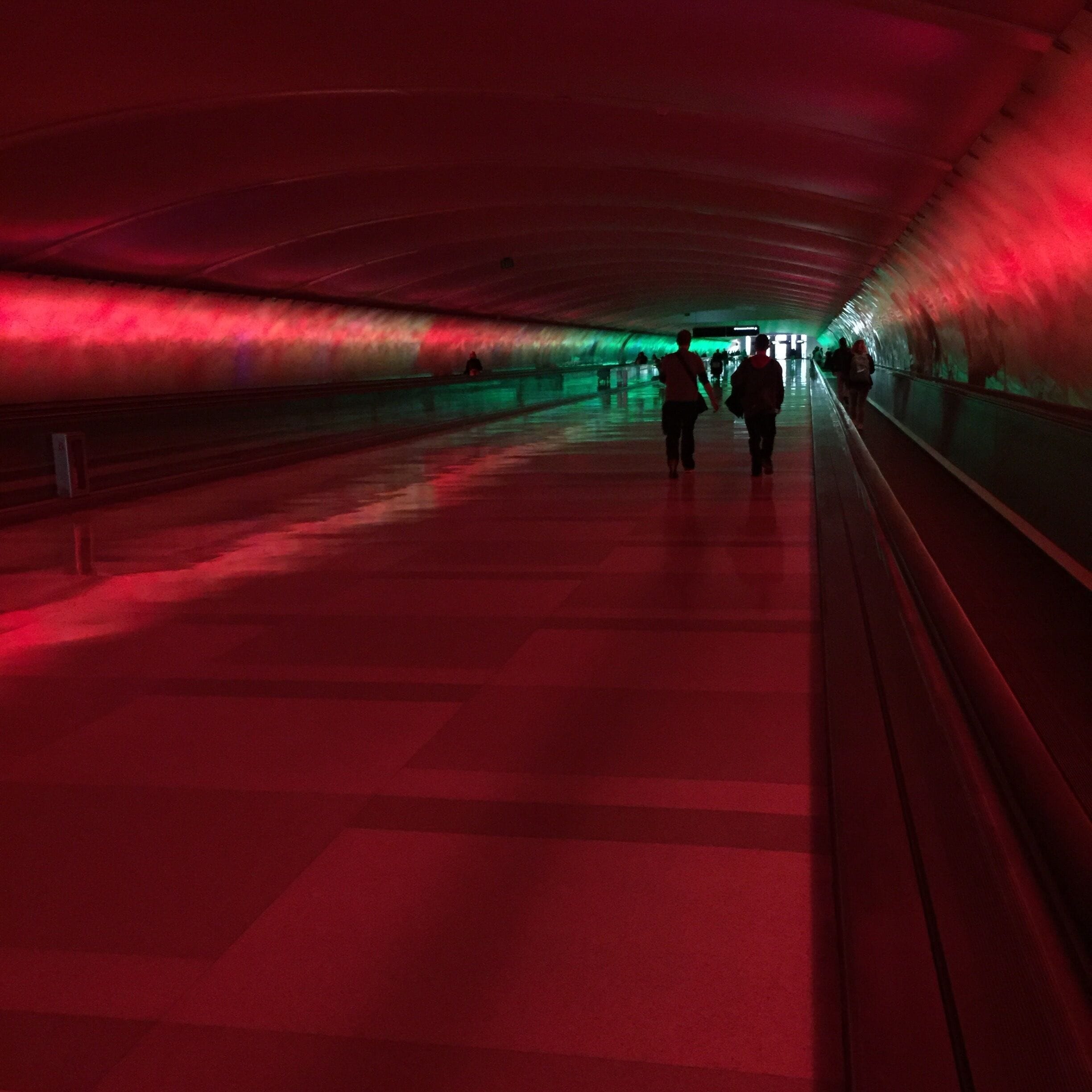The cool music & light tunnel in DTW #lifeatexpedia