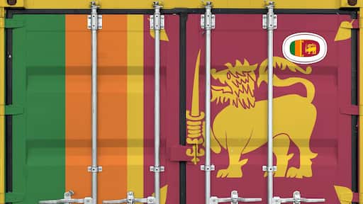 Sri Lanka flag depicted on metal doors of shipping cargo container outdoors in docks area close up