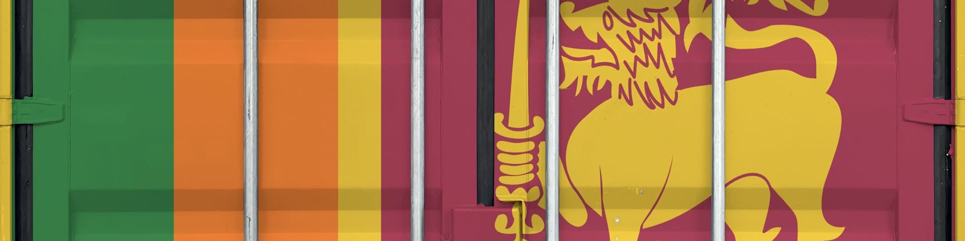 Sri Lanka flag depicted on metal doors of shipping cargo container outdoors in docks area close up
