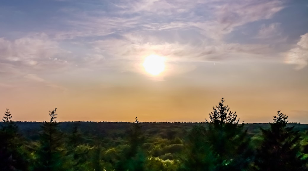 Berg en Bos