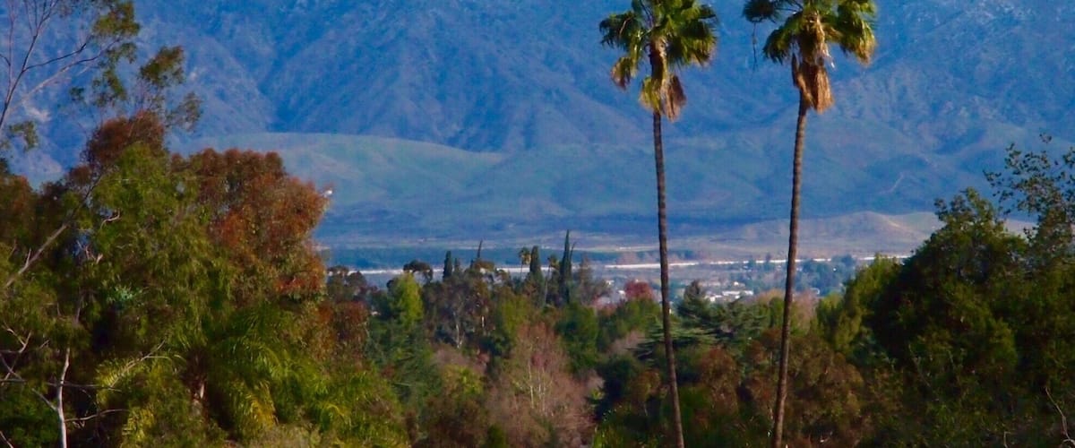 Sometimes you just need to stop and appreciate the area right where you live!  From here, it's just a half hour drive to the mountains, 40 minutes to the desert, an hour to Los Angeles, and an hour to the beach.
