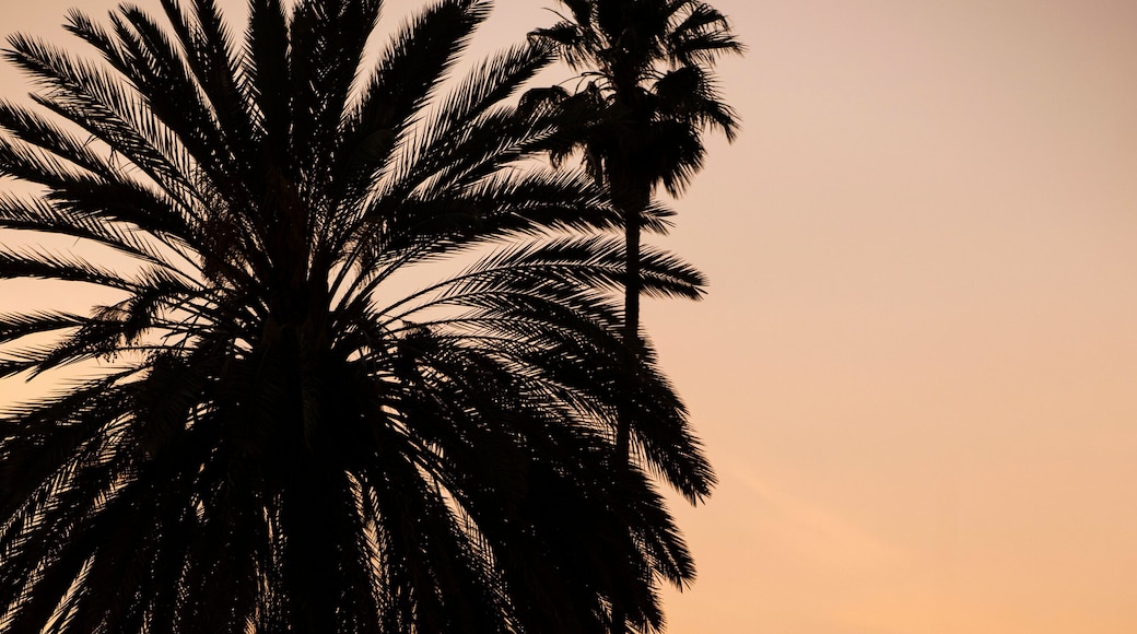 Sunset view of historic downtown Redlands, California, USA.