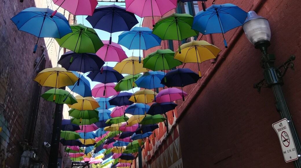 A hidden jem on Orange Street with lots of fine dining to boot.