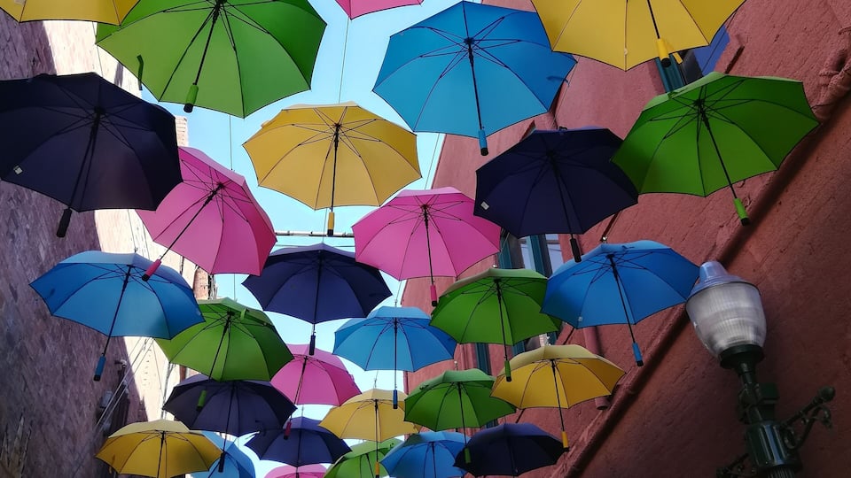 A hidden jem on Orange Street with lots of fine dining to boot.