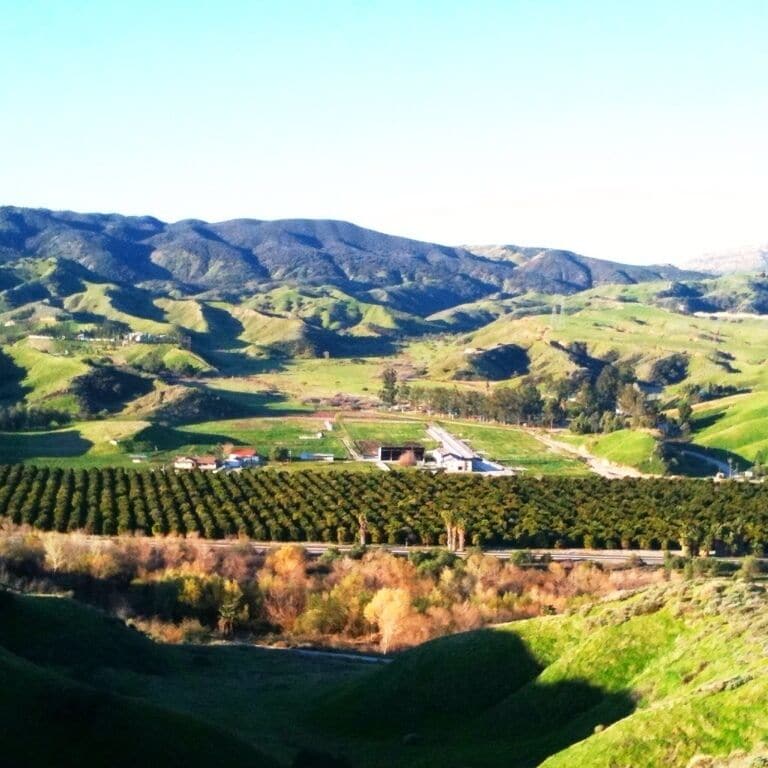 Overlooking the orange orchards...