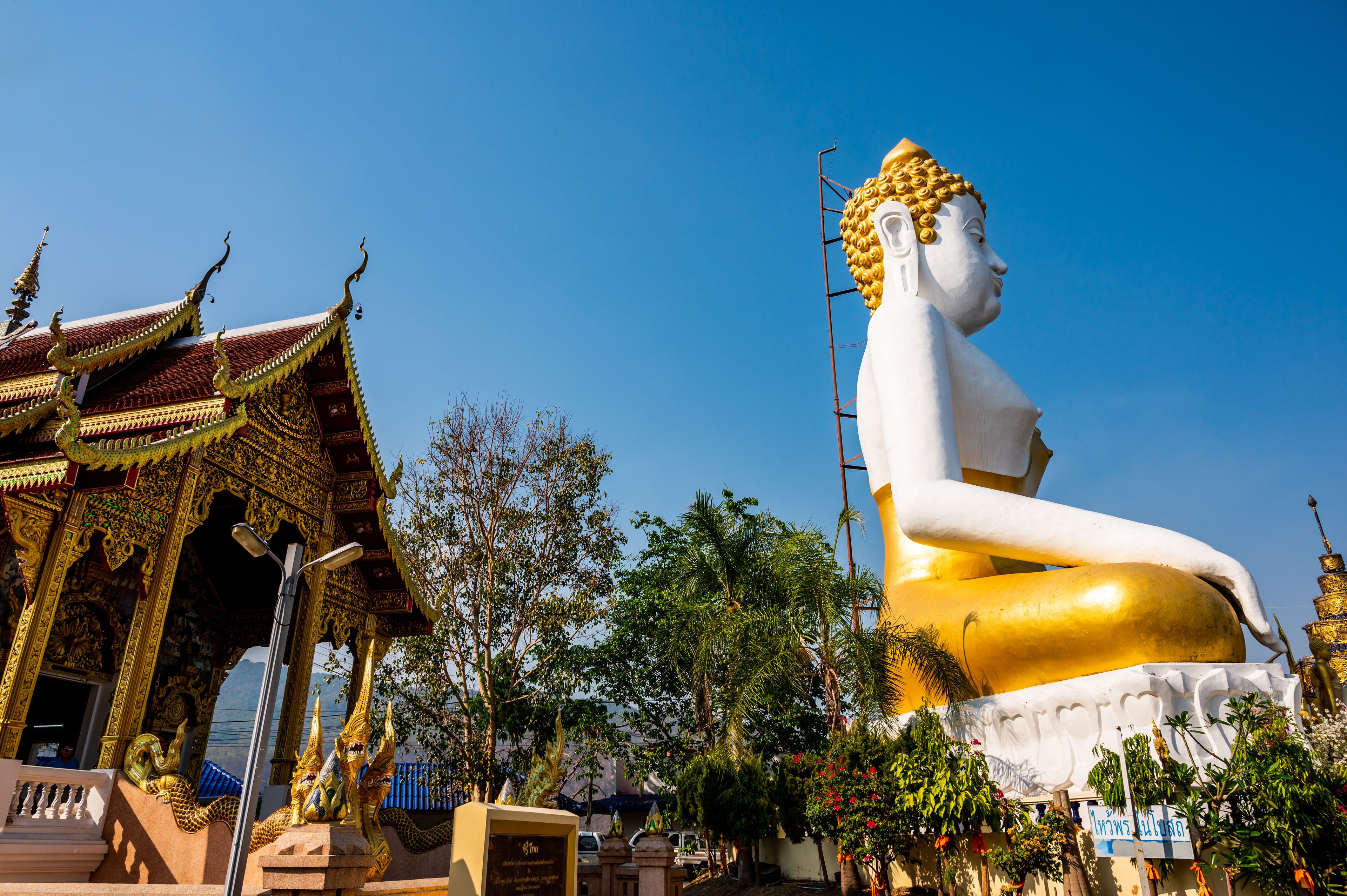 A large golden Buddha statue, traditional Thai architecture, and lush greenery.