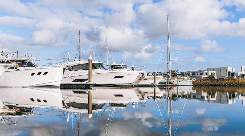 A marina with several yachts docked, calm water reflecting the boats and sky, and a modern building in the background.