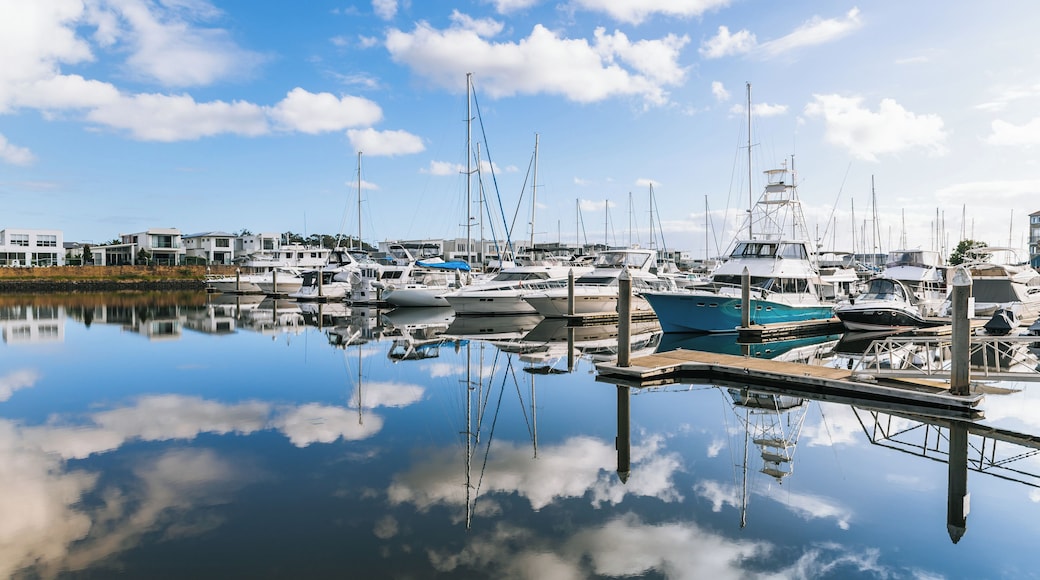 A marina with various boats docked, a calm water surface reflecting the sky and boats, and modern buildings in the background.