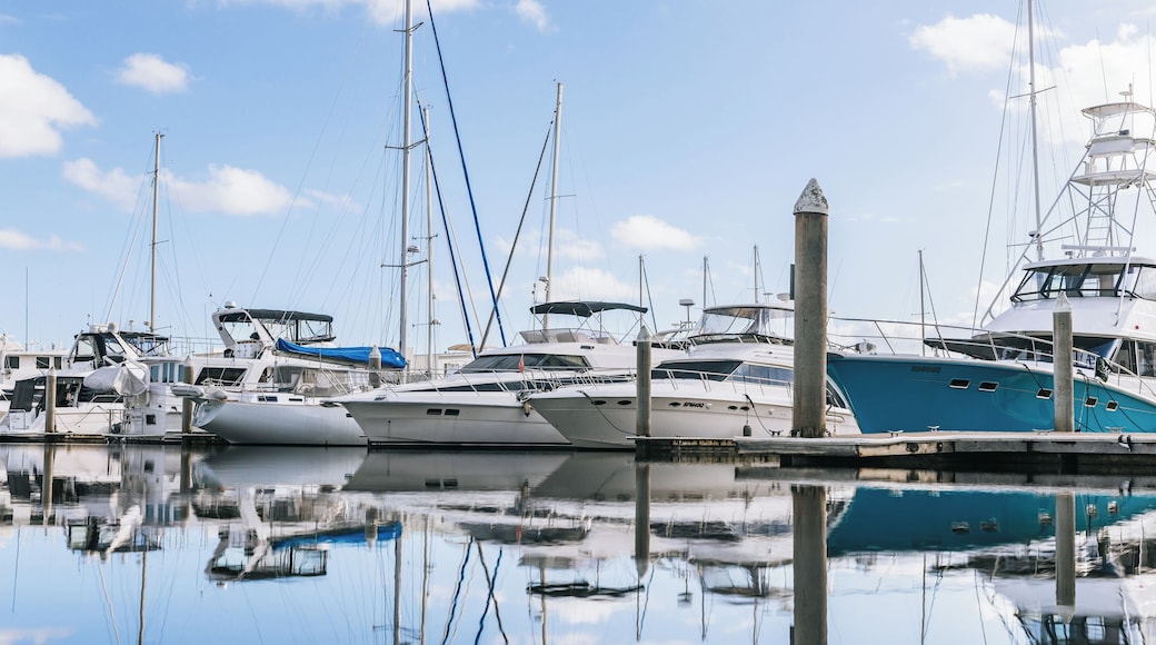 A marina with multiple yachts docked, calm water reflecting the boats, and a clear sky.