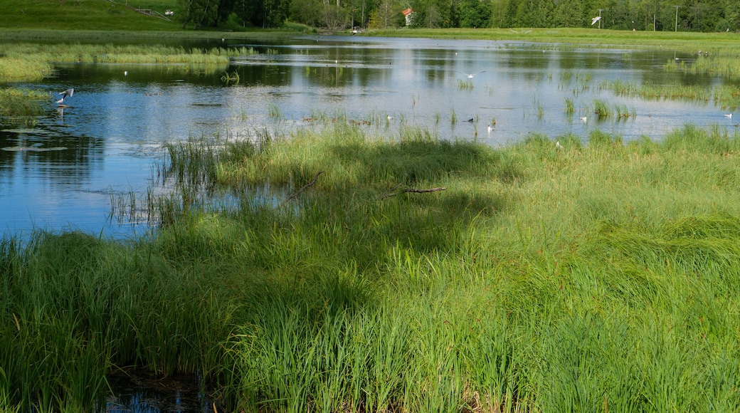 Wiese und See am Pilgerweg St. Olavsweg, Gudbrandsdalsleden bei der Pilgerherberge Risebru in der Nähe von Jessheim, Mogreina in Norwegen.