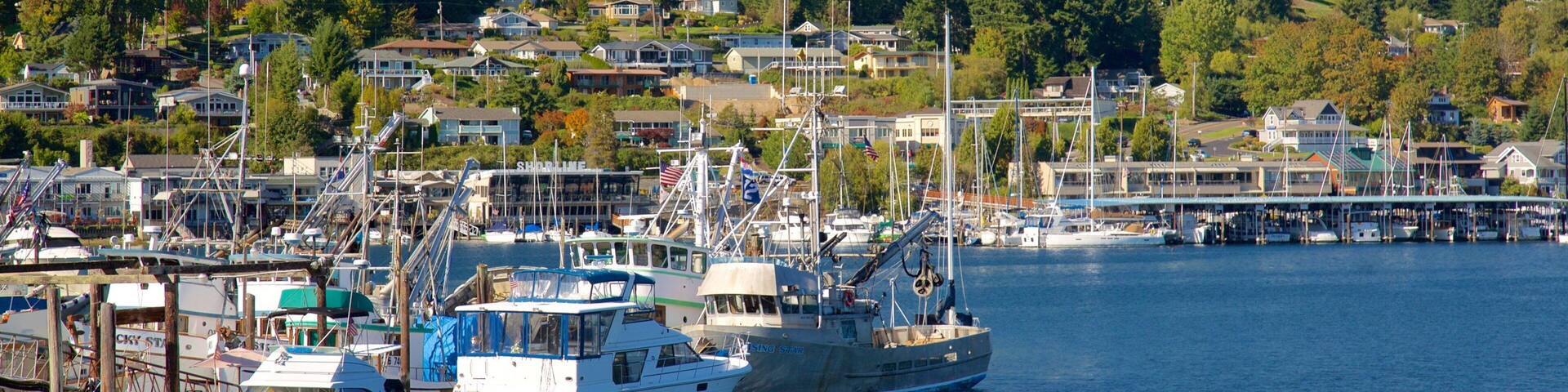 Gig Harbor ofreciendo una ciudad costera, escenas forestales y una marina