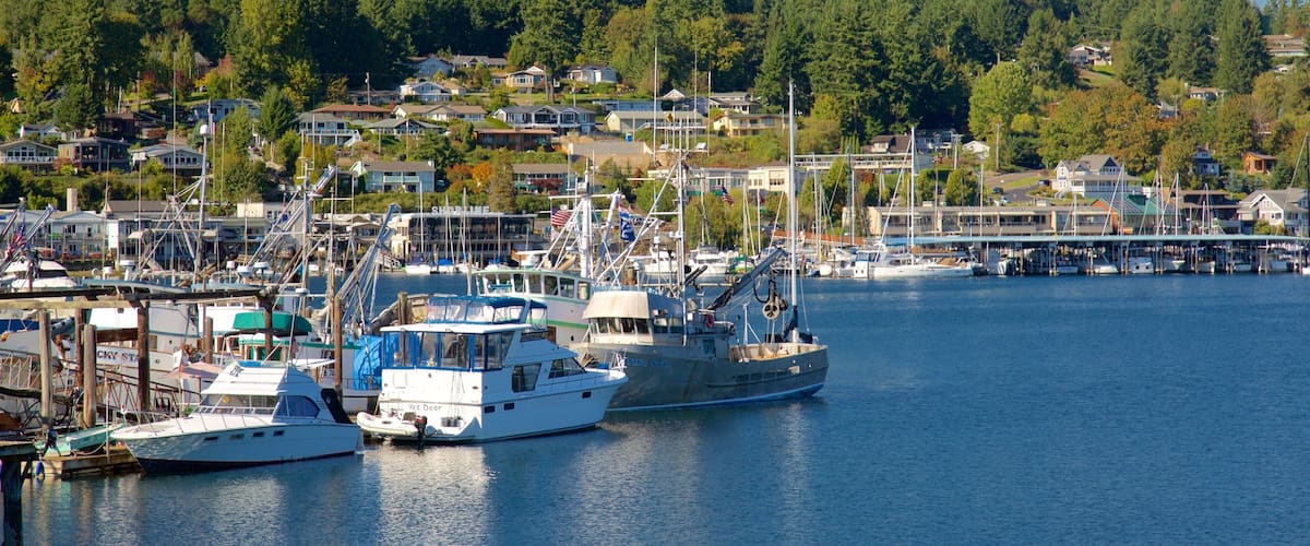 A harbor with several boats docked, a pier, and a backdrop of houses and trees.