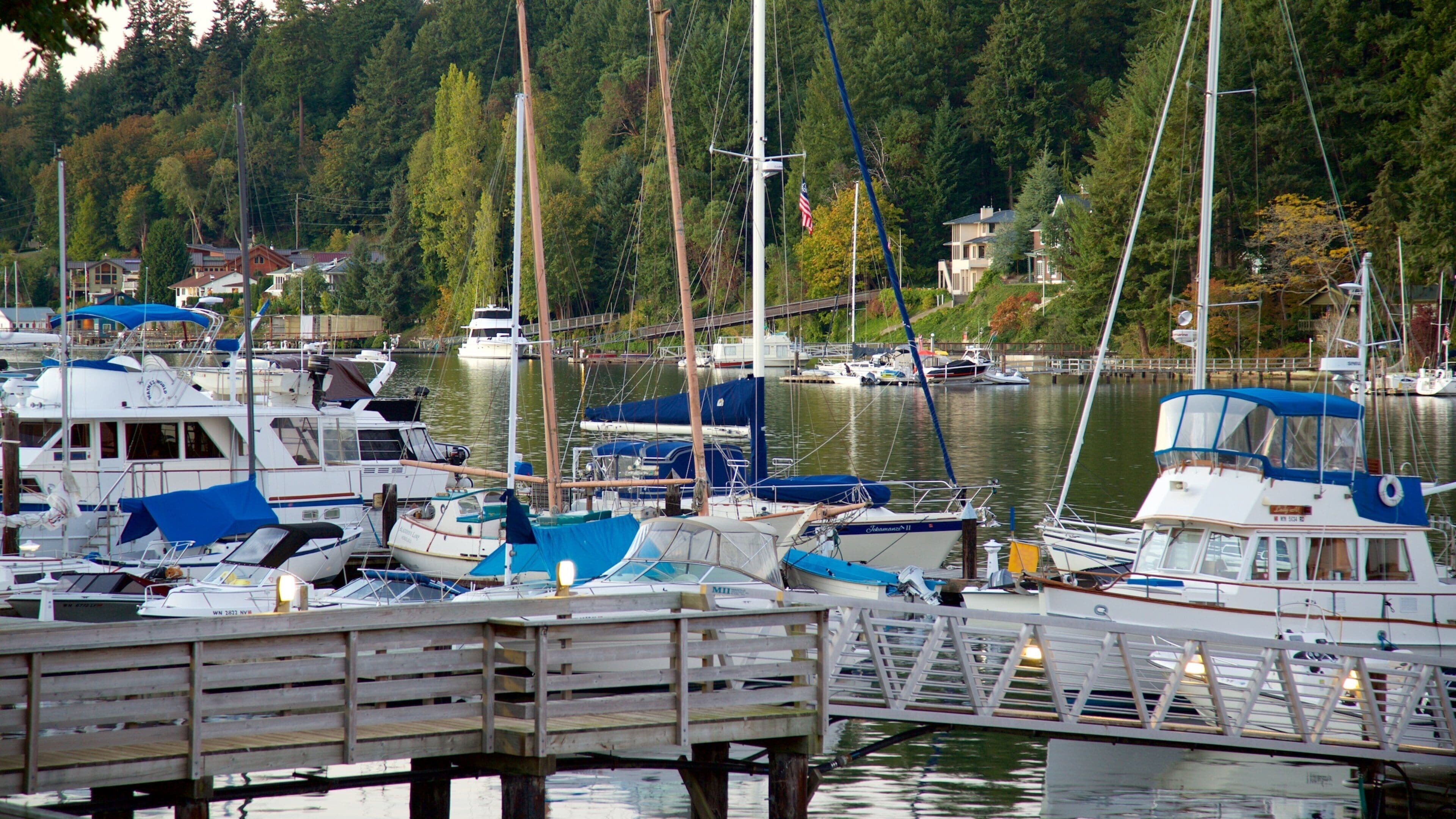 Gig Harbor featuring a marina, a bay or harbor and forest scenes