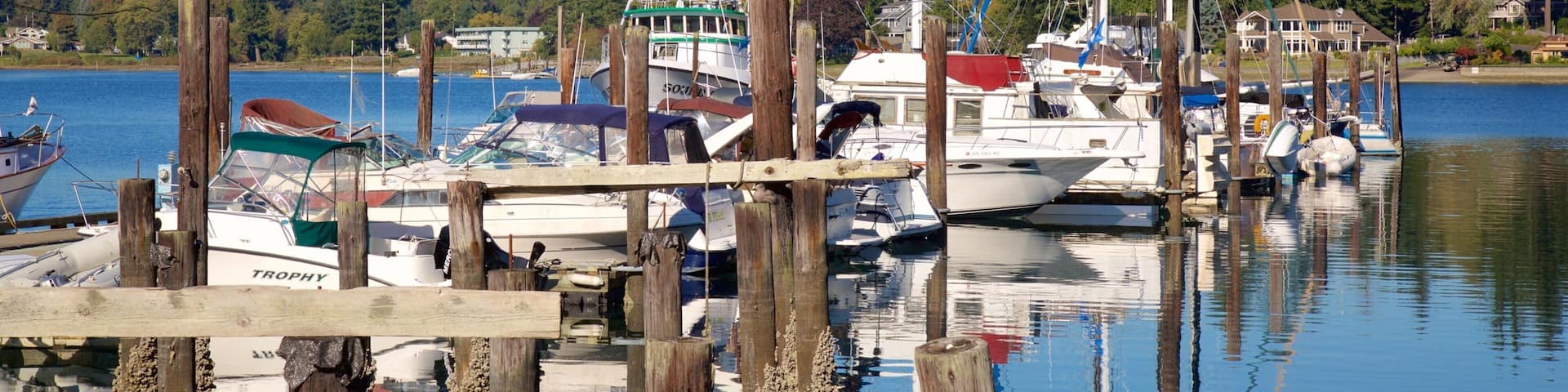 Gig Harbor featuring a marina and a bay or harbor