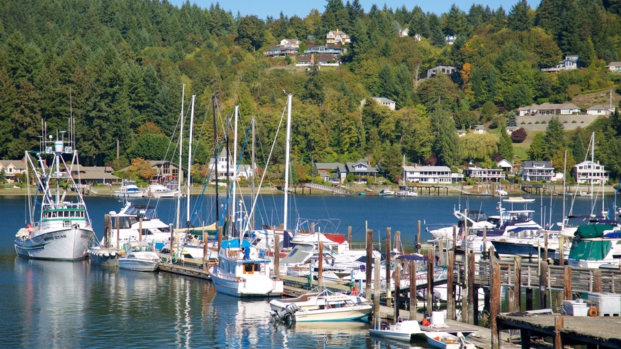 Gig Harbor showing a marina, a coastal town and a bay or harbor