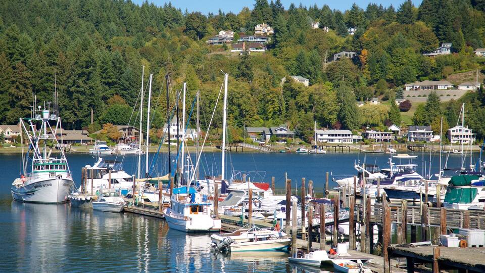A marina with various boats docked, surrounded by a forested hillside with houses.