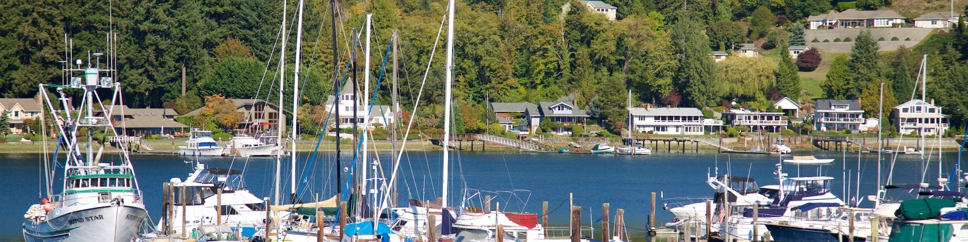 ๊ธฐ๊ทธ ํ๋ฒ ์ ๋ณด์ฌ์ฃผ๋ ๋ง๋ฆฌ๋, ์ฒ ๊ณผ ํญ๊ตฌ ๋๋ ํญ๋ง