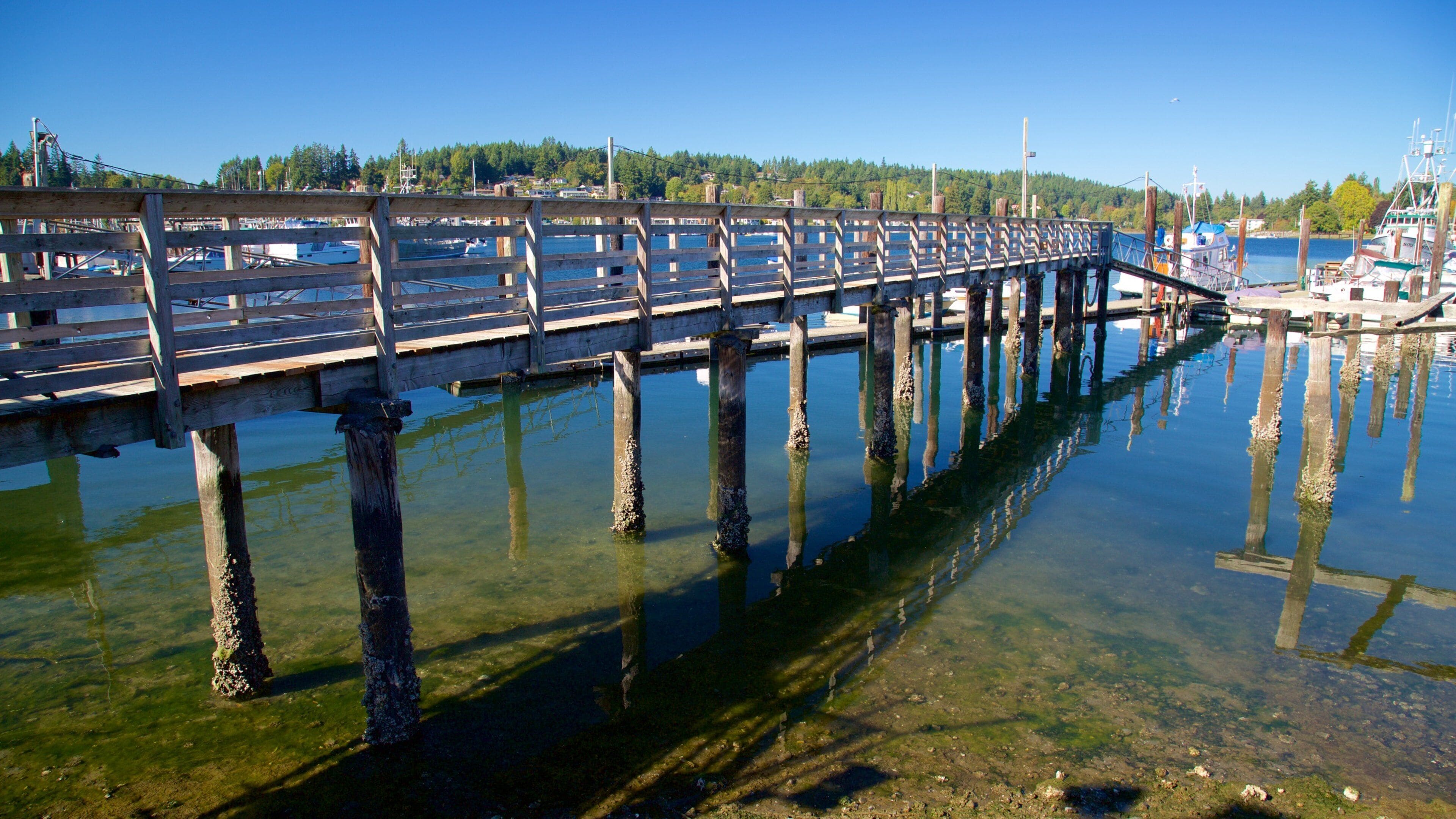 Gig Harbor featuring a bay or harbor