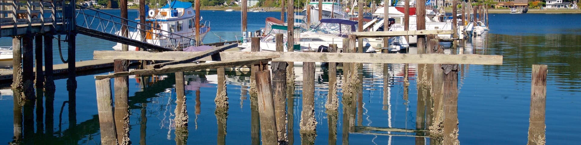 Gig Harbor which includes a marina, a bay or harbor and general coastal views