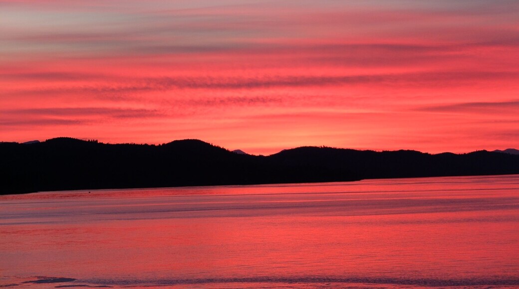 On a BC Ferry heading back to Vancouver from Vancouver Island I was rewarded with the most spectacular sunset. #goldenhour #colorful