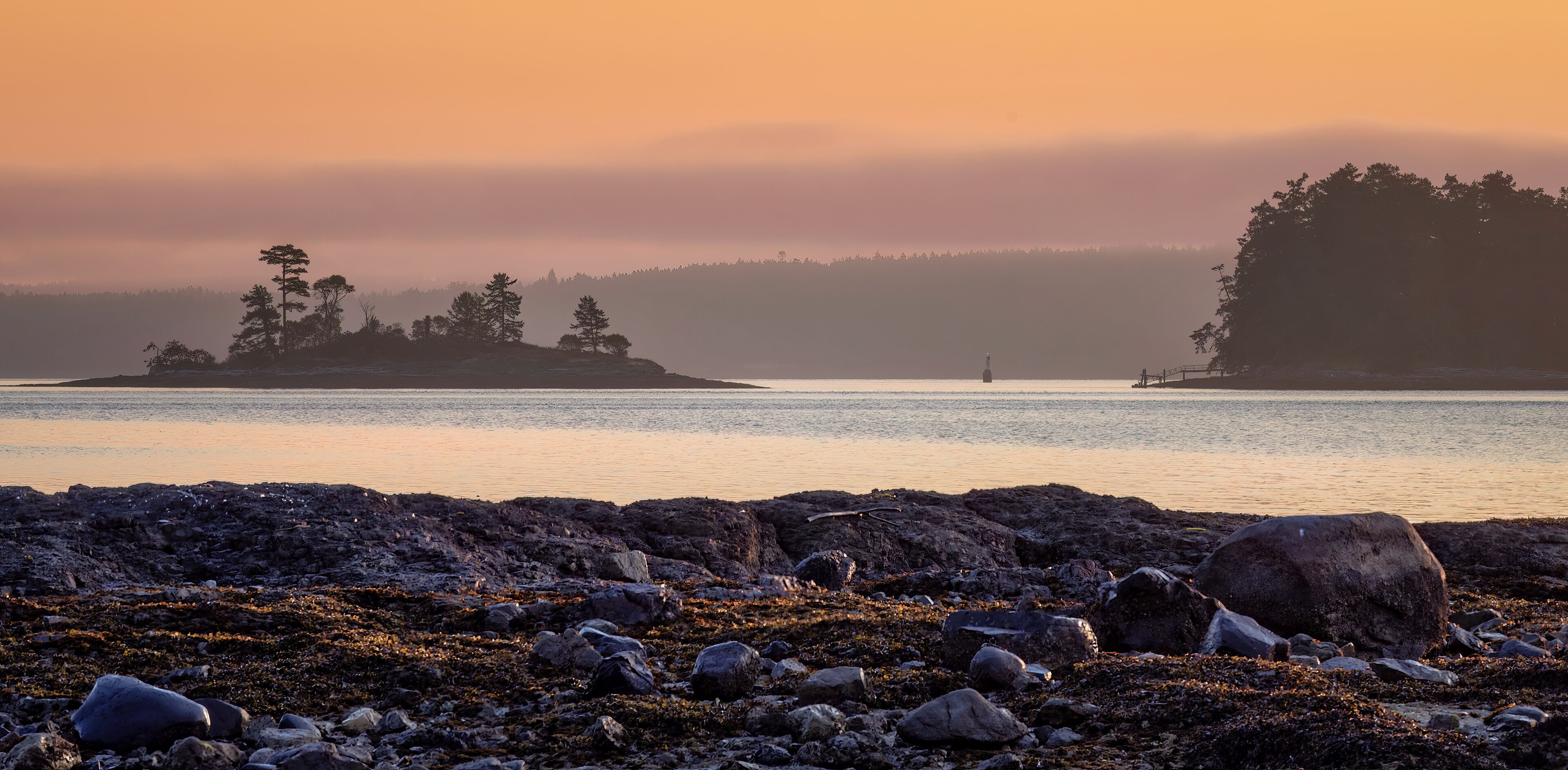 Pastel sunrise over salish sea in Sidney