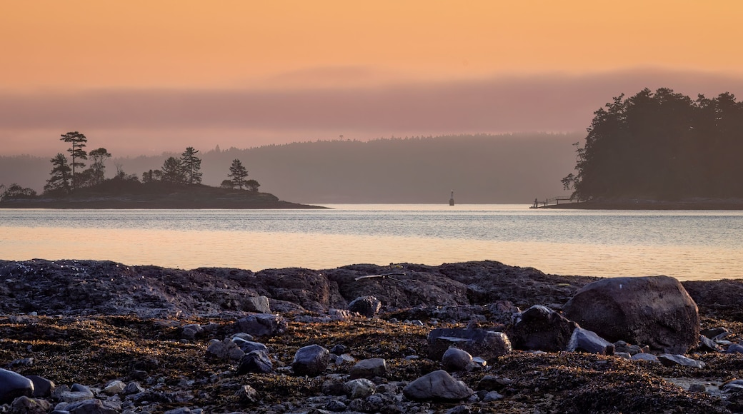 Pastel sunrise over salish sea in Sidney