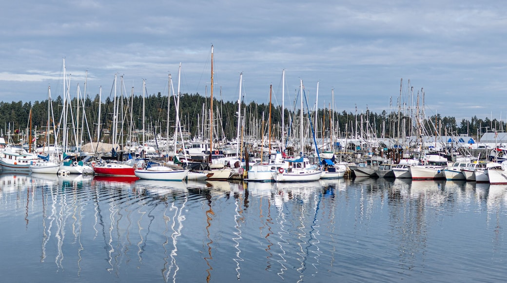 Yachts Moored at Fishermans Wharf Sidney BC Canada