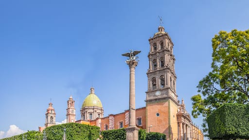 Celaya