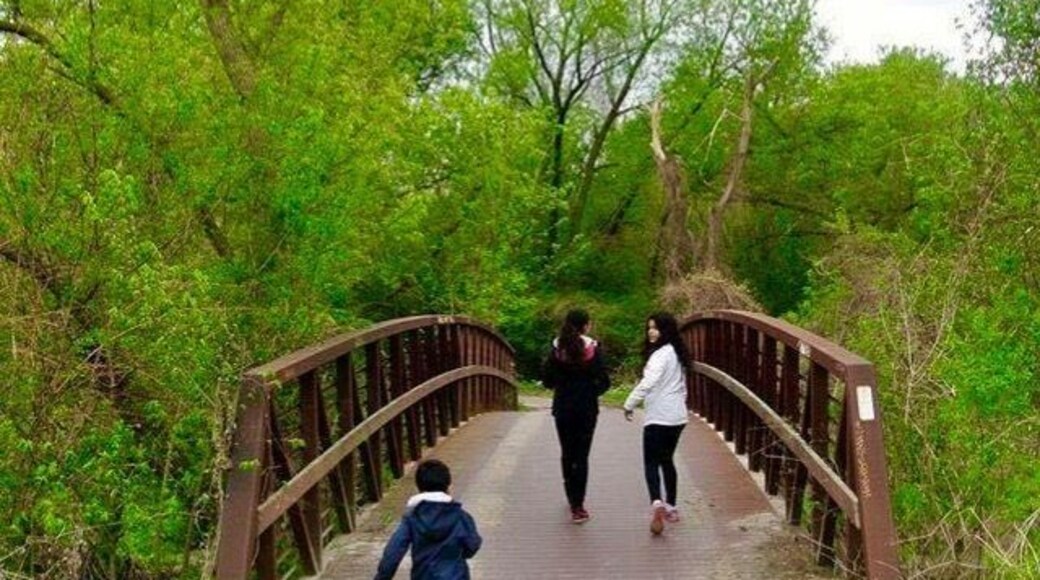 Toronto, Ontario beautiful place in Canada