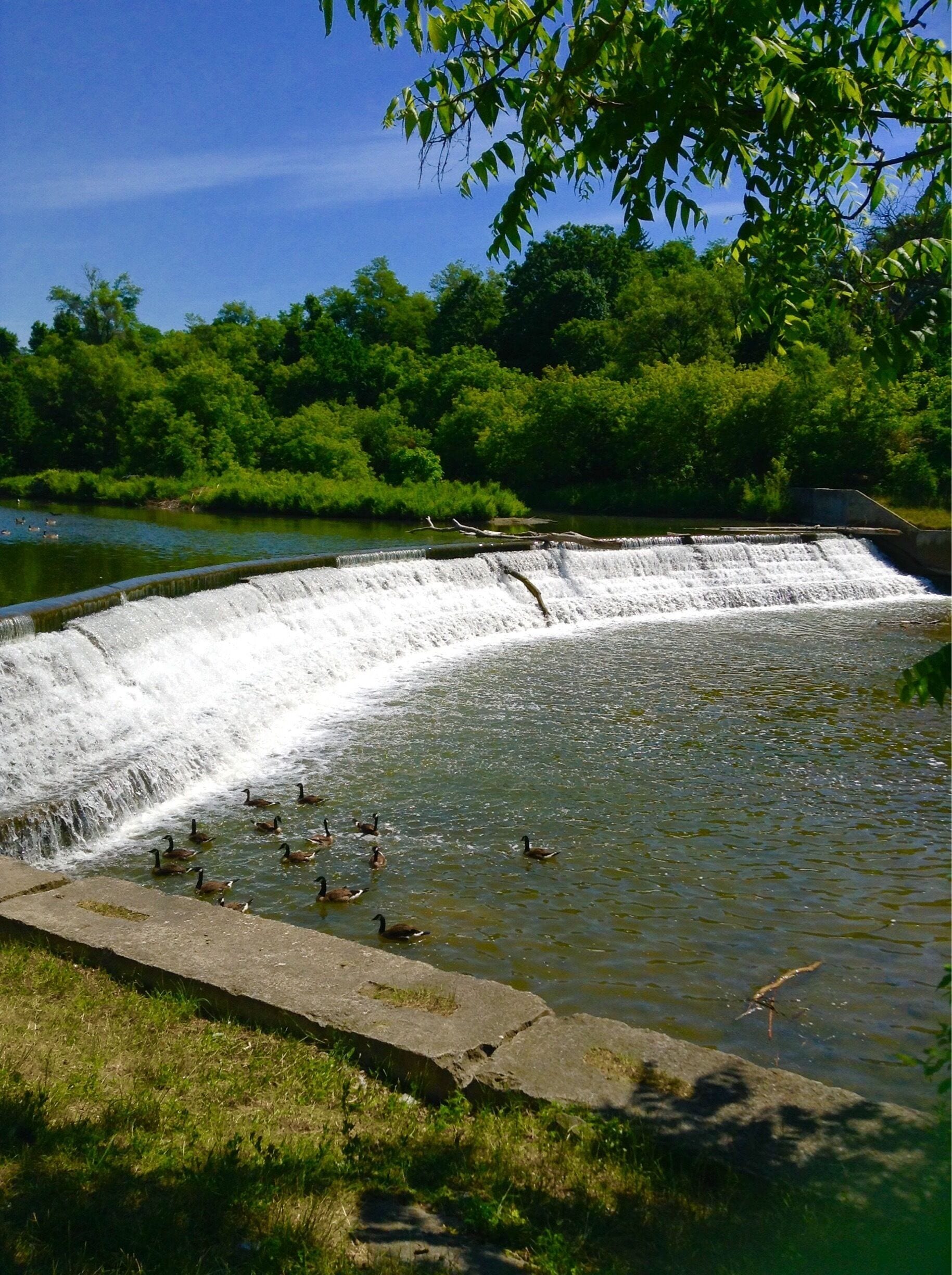 South side of Humber river biking lane, great lane from north of Toronto that can take you to the east, west and south of Toronto.