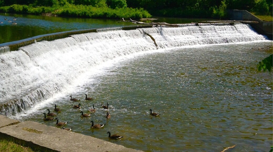 South side of Humber river biking lane, great lane from north of Toronto that can take you to the east, west and south of Toronto.