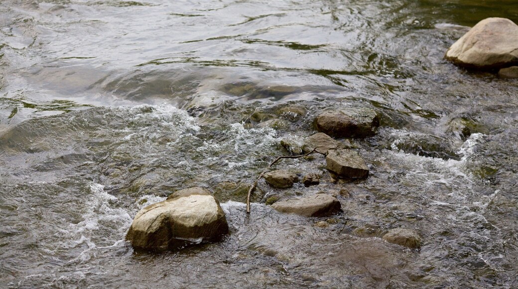 Vaughan qui includes une riviĂšre ou un ruisseau