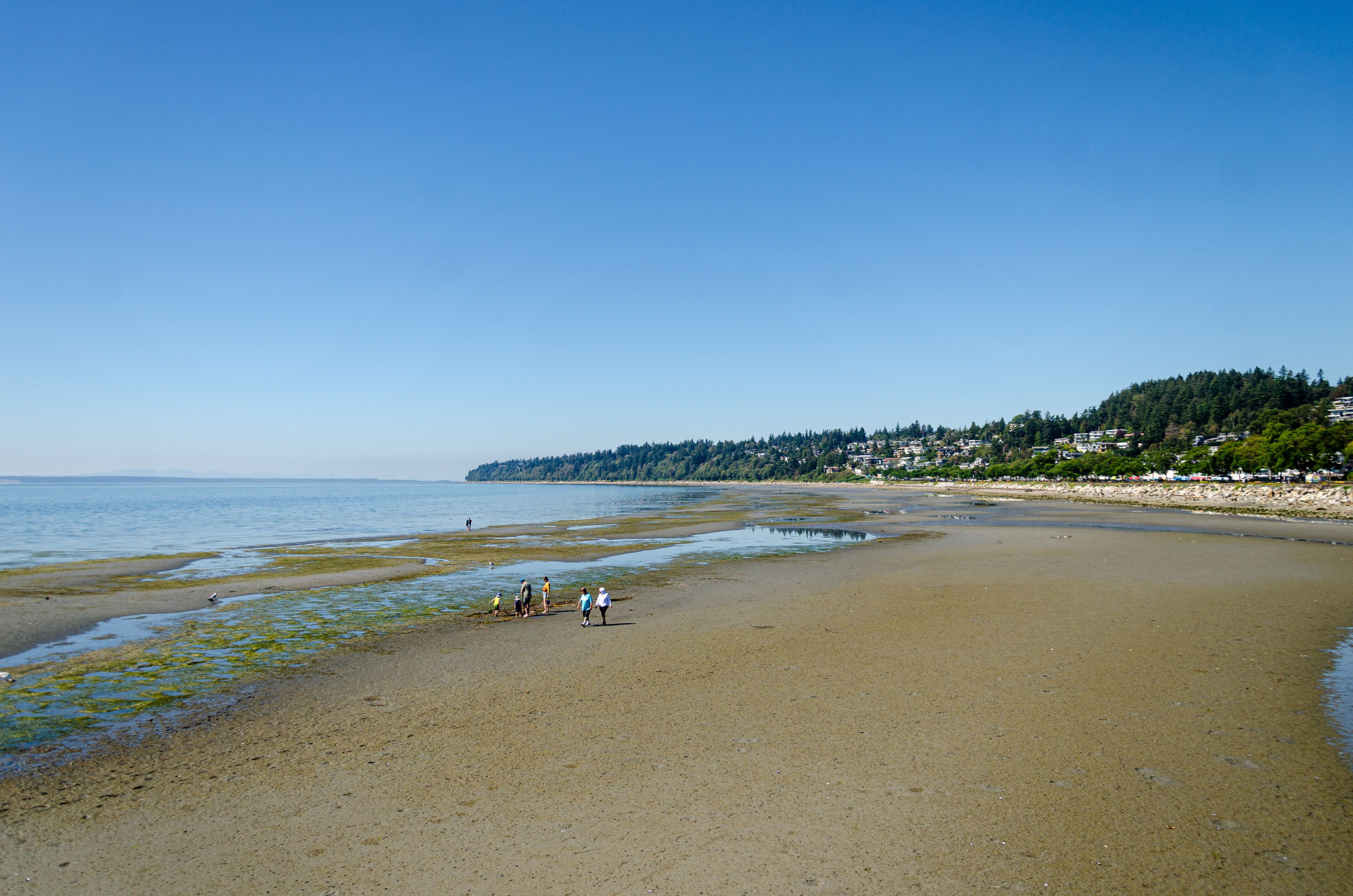The White Rock beach at White Rock,  Surrey, British Columbia, Canada