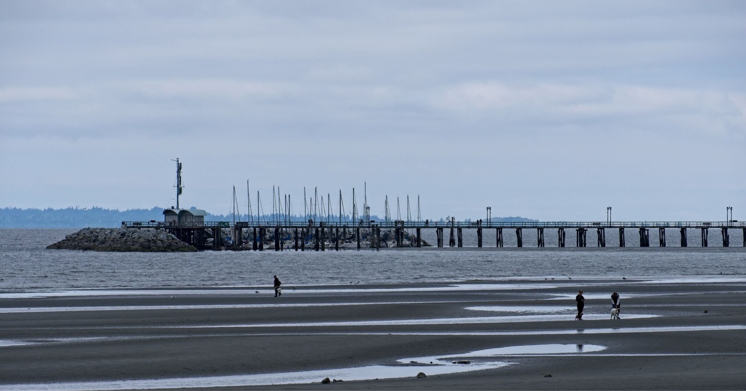 Low tide on a cloudy day