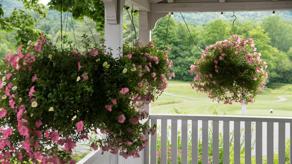 A porch with white railings and hanging flower baskets filled with pink flowers.