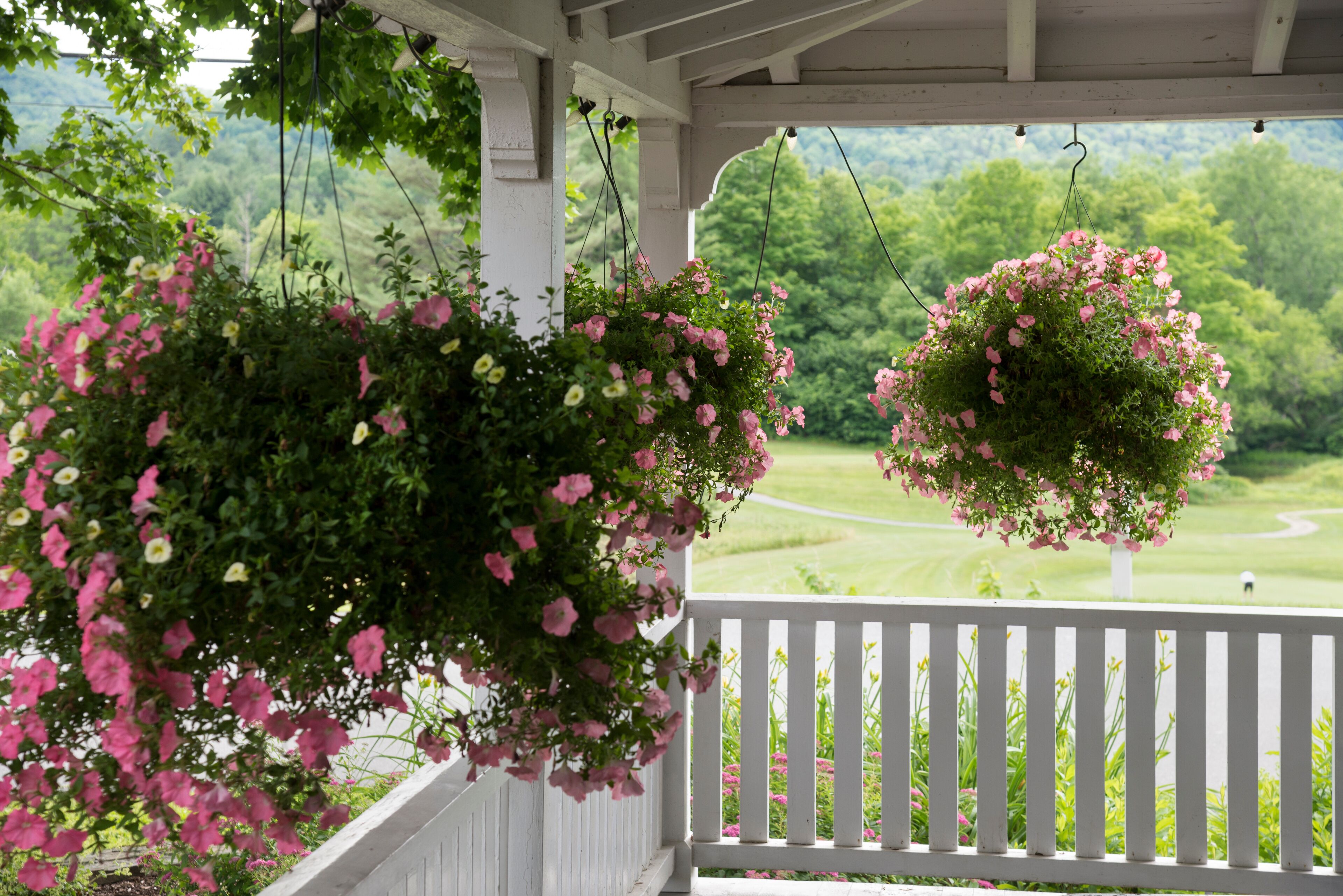 A porch with white railings and hanging flower baskets filled with pink flowers.