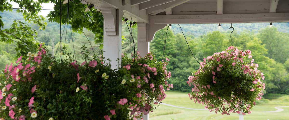 A porch with white railings and hanging flower baskets filled with pink flowers.