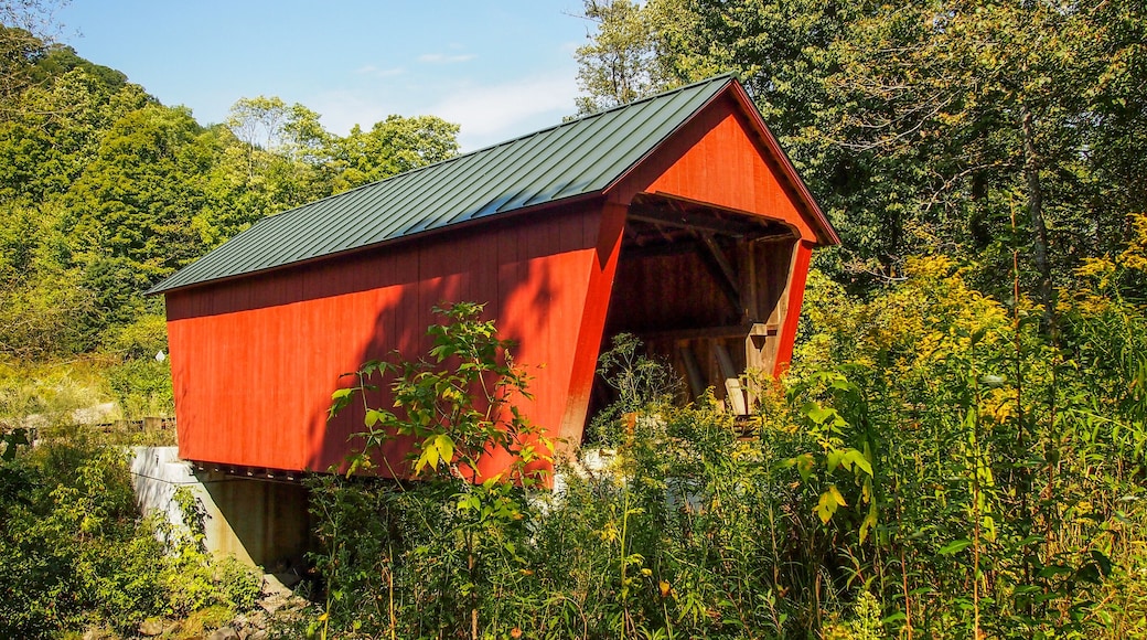 Braley Bridge, Randolph, Vermont