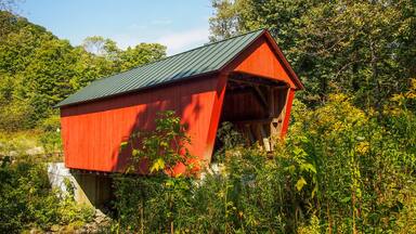 A red covered bridge in a lush, green forest.