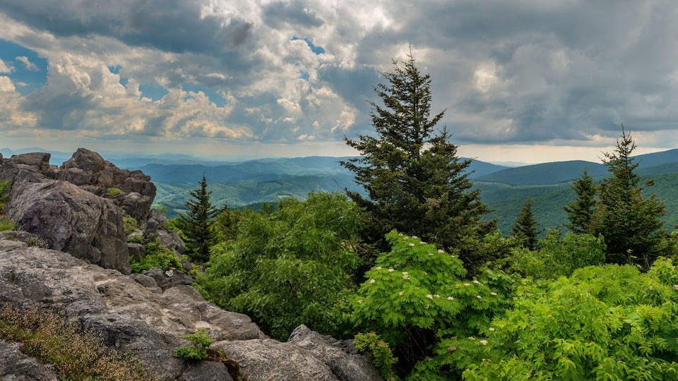 A mountainous landscape with rocky outcrops and dense green foliage.