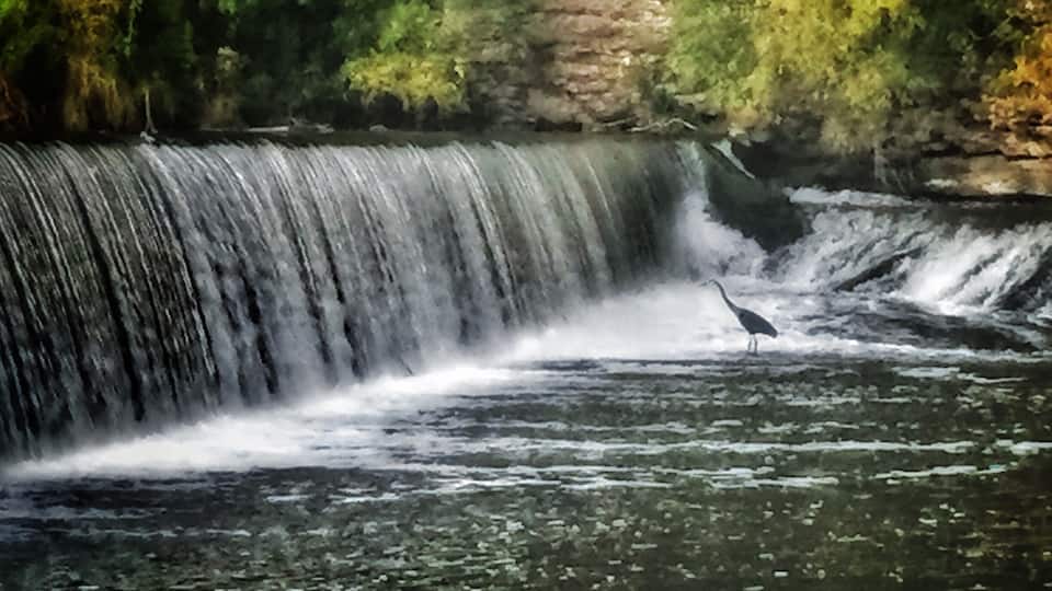 fish, fish, don't be shy, come on here.