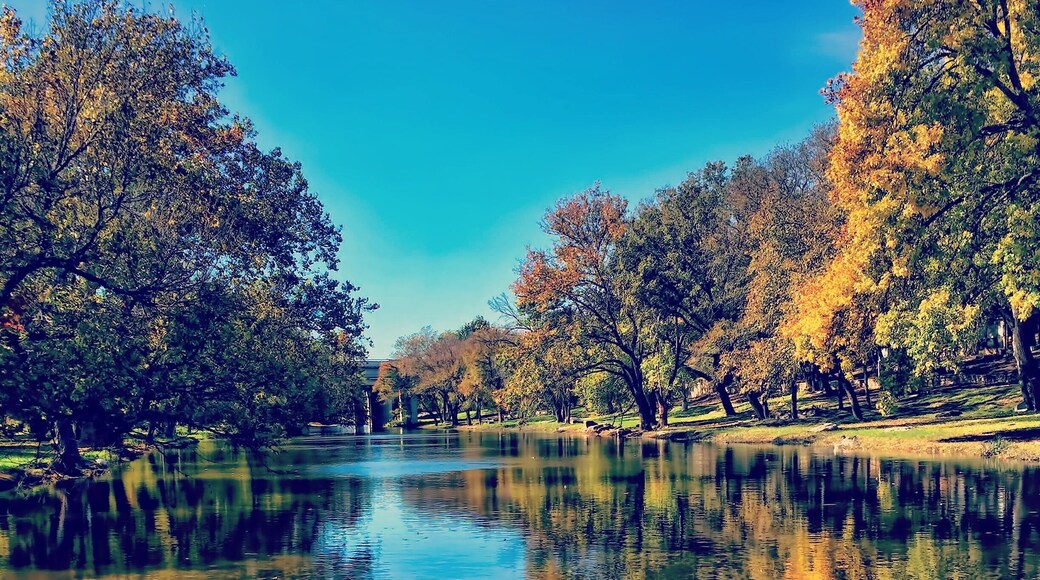 winter is a masterpiece of foliage.