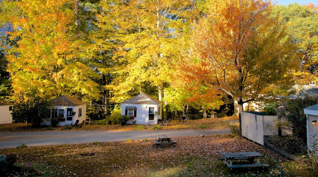 North Conway which includes a house, forests and autumn leaves
